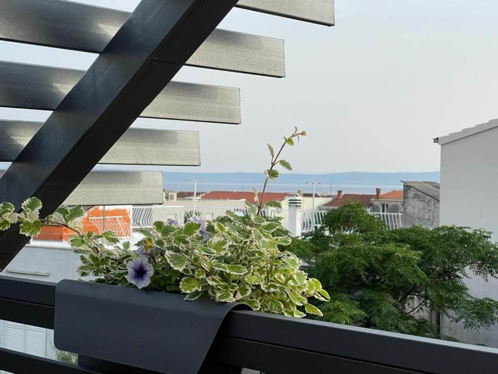 Villa Jadranka Apartments Tučepi Kültér fotó